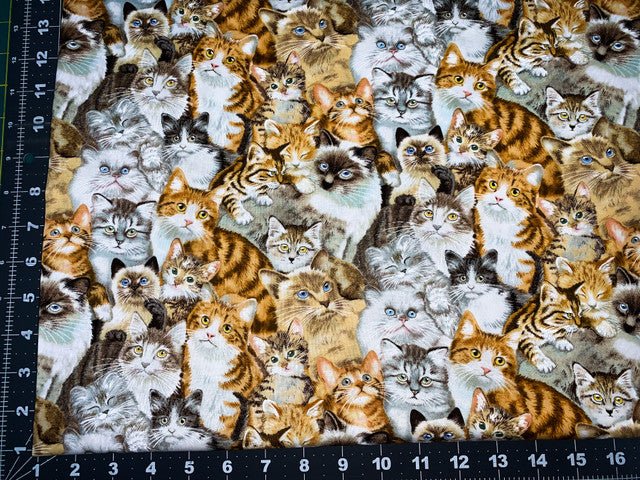 Petpourri Cat fabric 1253 packed cats cotton fabric - Mary Jo Fabrics