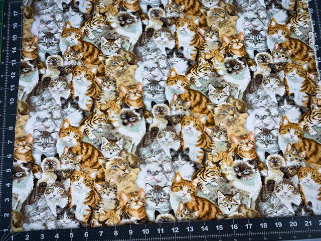 Petpourri Cat fabric 1253 packed cats cotton fabric - Mary Jo Fabrics