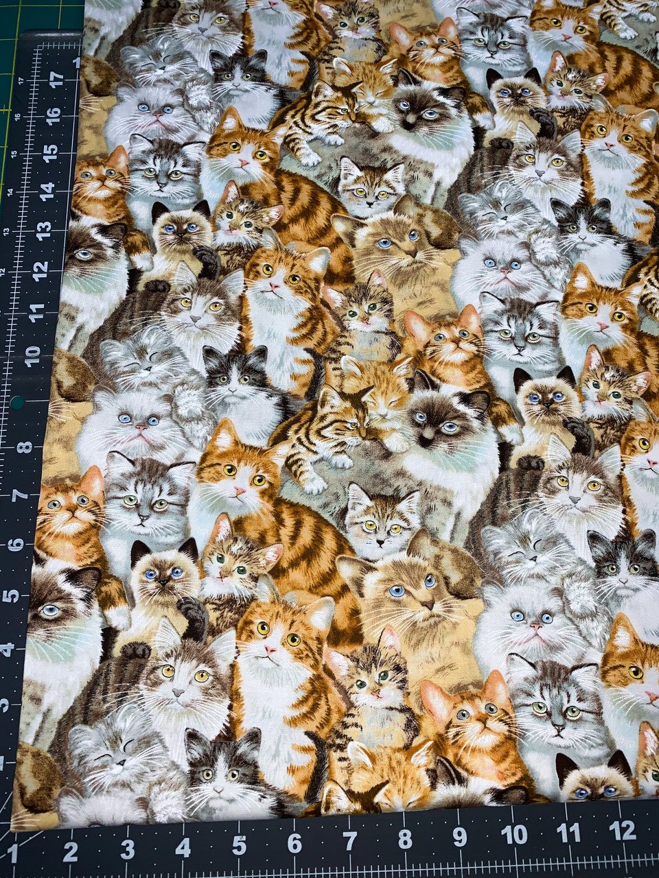 Petpourri Cat fabric 1253 packed cats cotton fabric - Mary Jo Fabrics