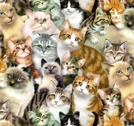 Petpourri Cat fabric 1253 packed cats cotton fabric - Mary Jo Fabrics