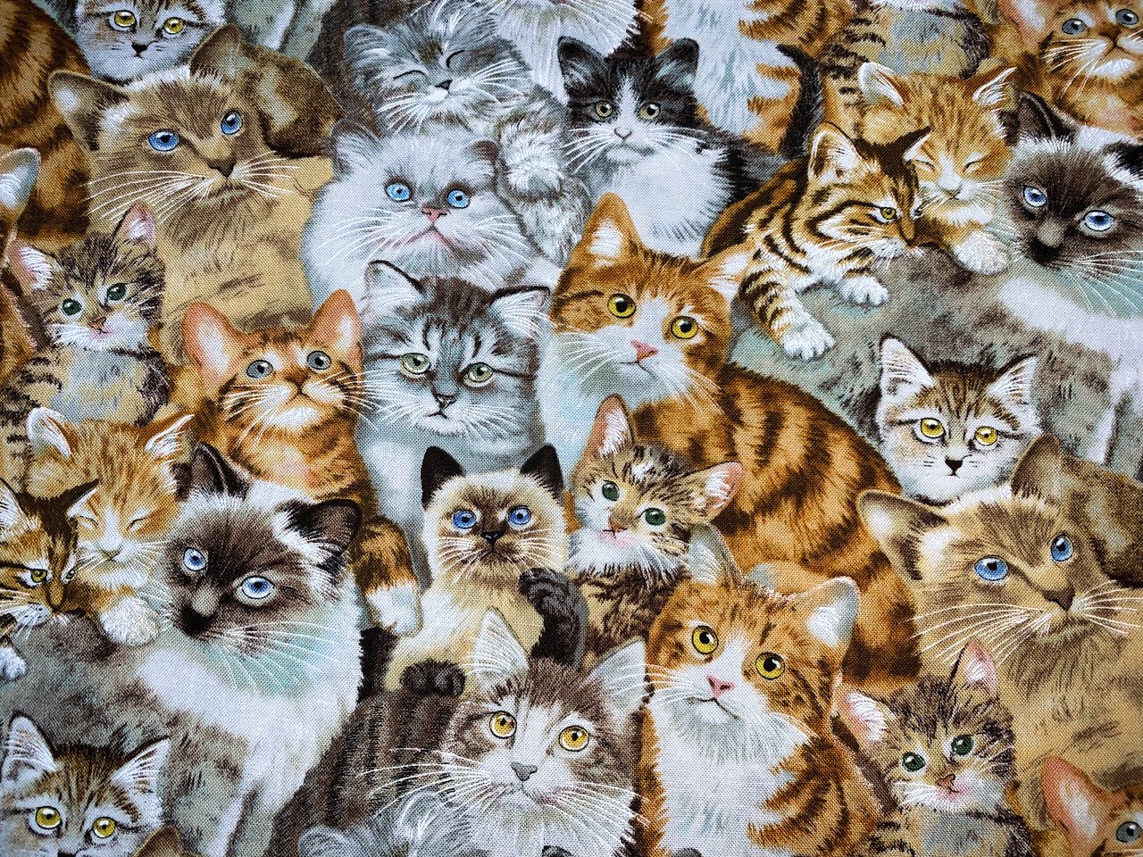 Petpourri Cat fabric 1253 packed cats cotton fabric - Mary Jo Fabrics