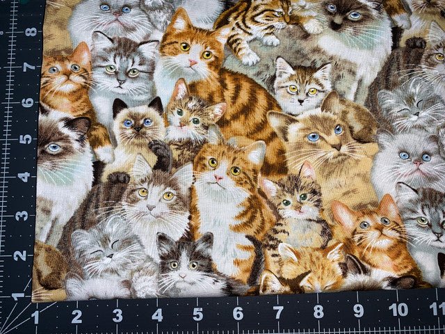 Petpourri Cat fabric 1253 packed cats cotton fabric - Mary Jo Fabrics