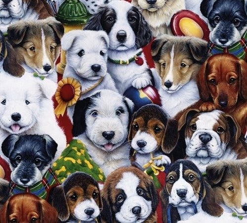 Picture Day Dog Fabric Cotton AL - 4701 - 1C - Mary Jo Fabrics
