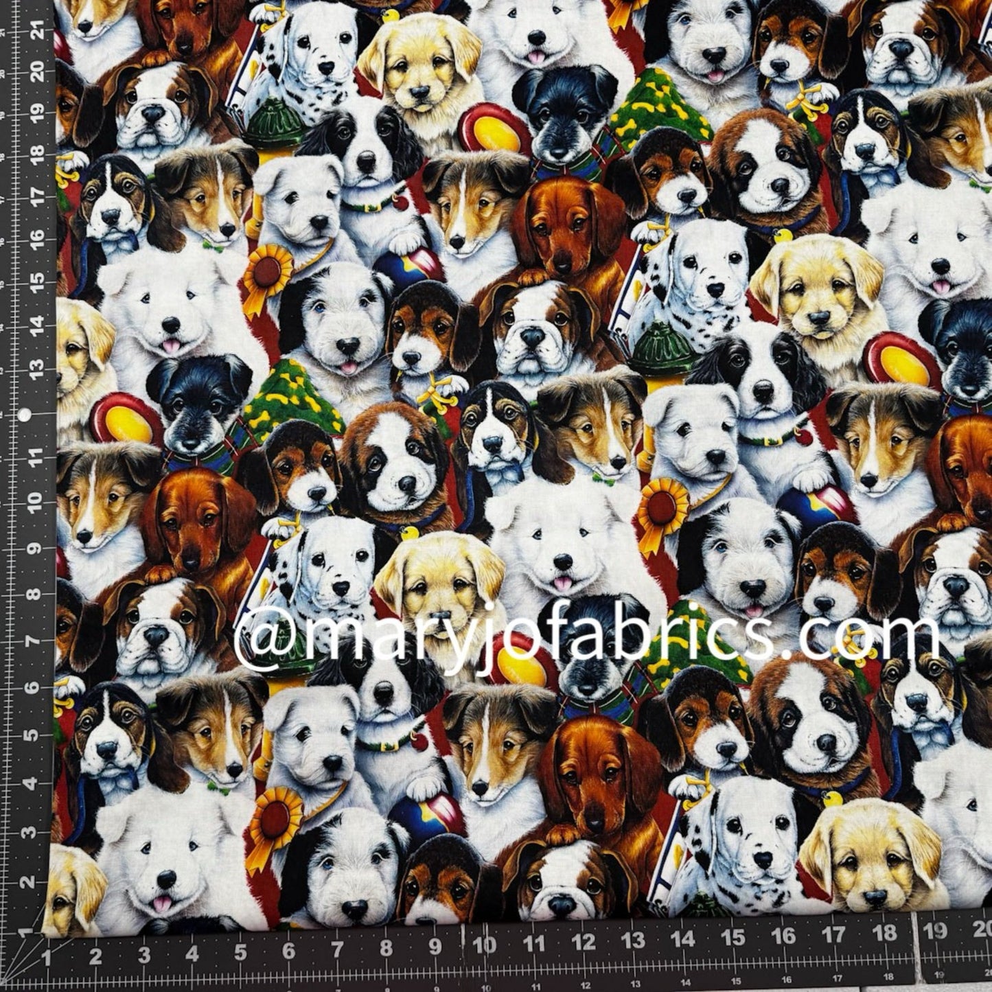 Picture Day Dog Fabric Cotton AL - 4701 - 1C - Mary Jo Fabrics