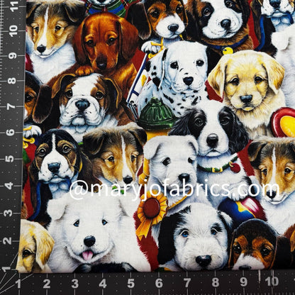 Picture Day Dog Fabric Cotton AL - 4701 - 1C - Mary Jo Fabrics