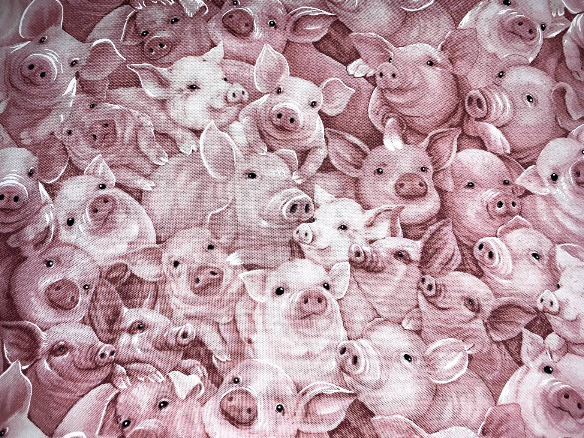 Pink pig fabric C8063 pigs cotton fabric - Mary Jo Fabrics