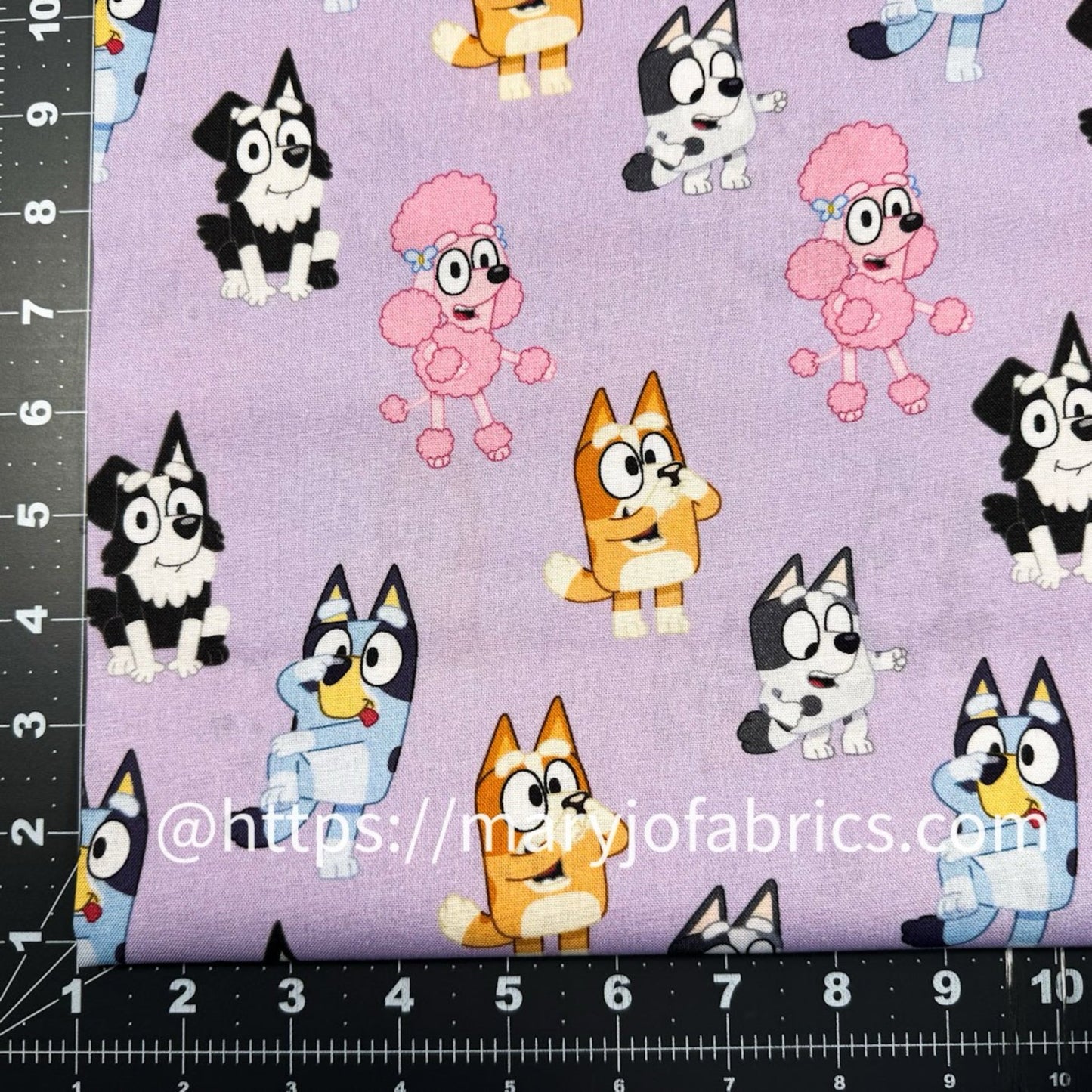 Playful Bluey Cotton Fabric 81155 Bluey and Friends - Mary Jo Fabrics