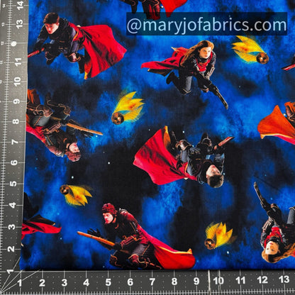 Playing Quidditch Harry Potter Fabric 15218 - 55 - Mary Jo Fabrics