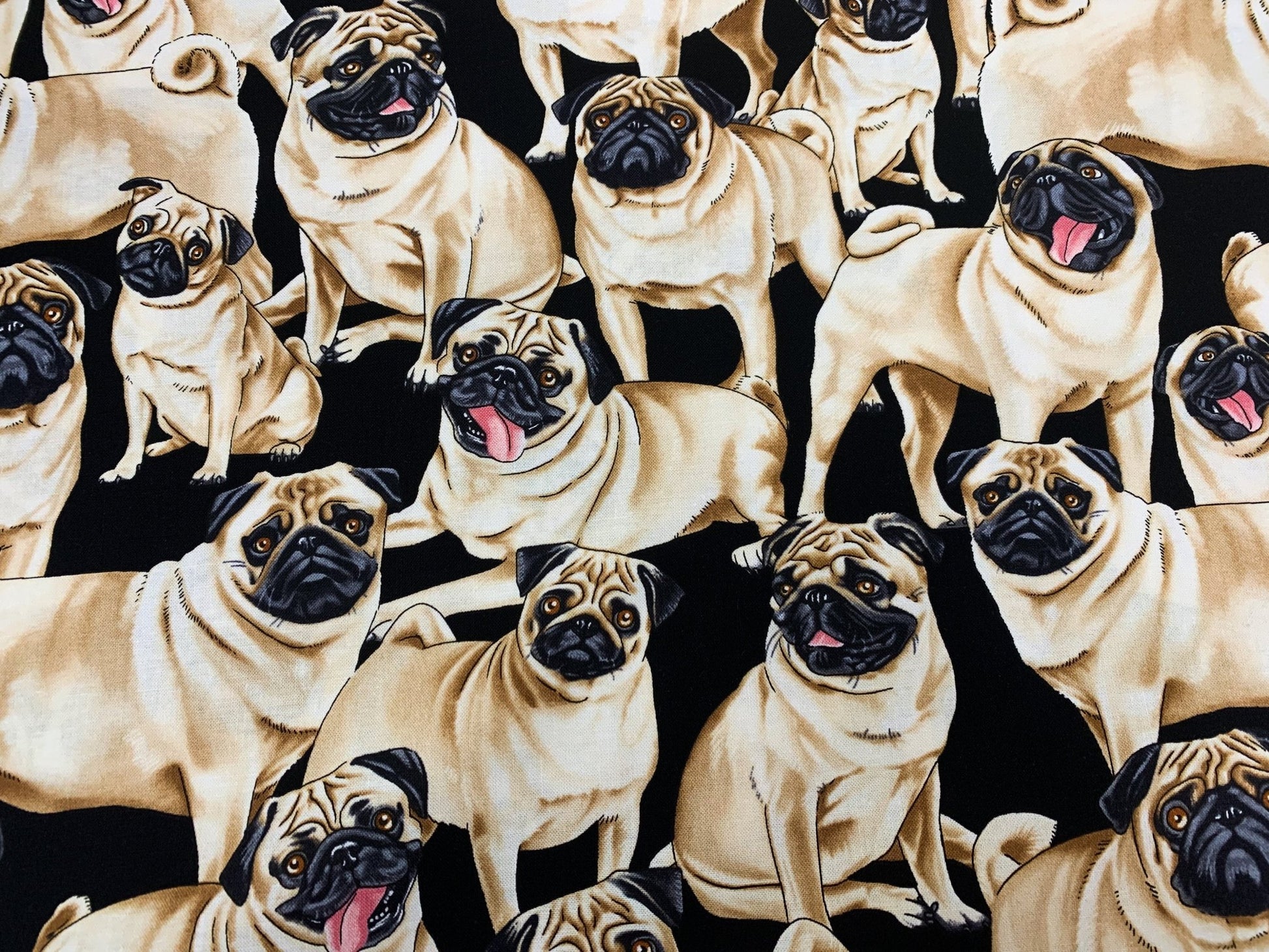 Pug dog fabric C2488 Black pugs cotton fabric - Mary Jo Fabrics