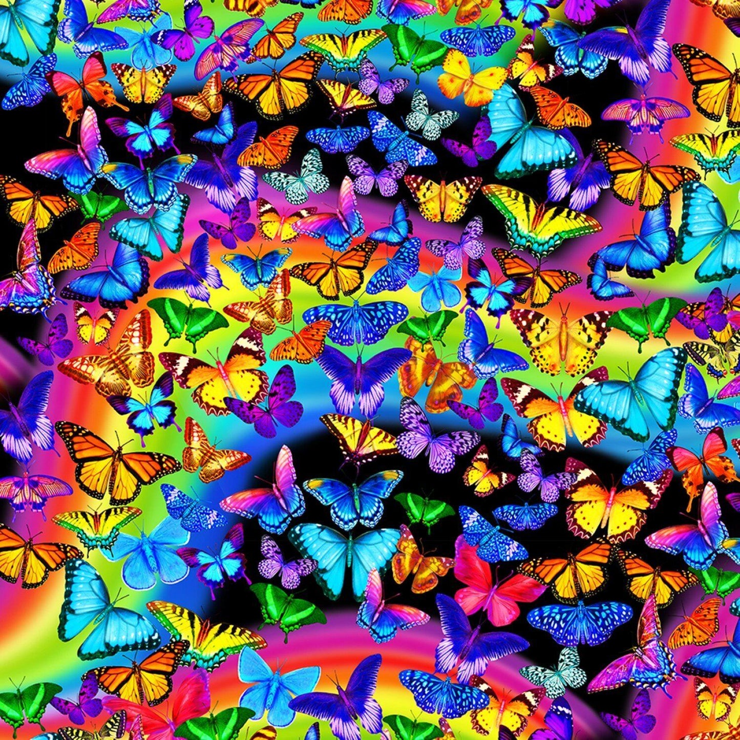 Rainbow Butterflies Cotton Fabric C7945 Butterfly - Mary Jo Fabrics