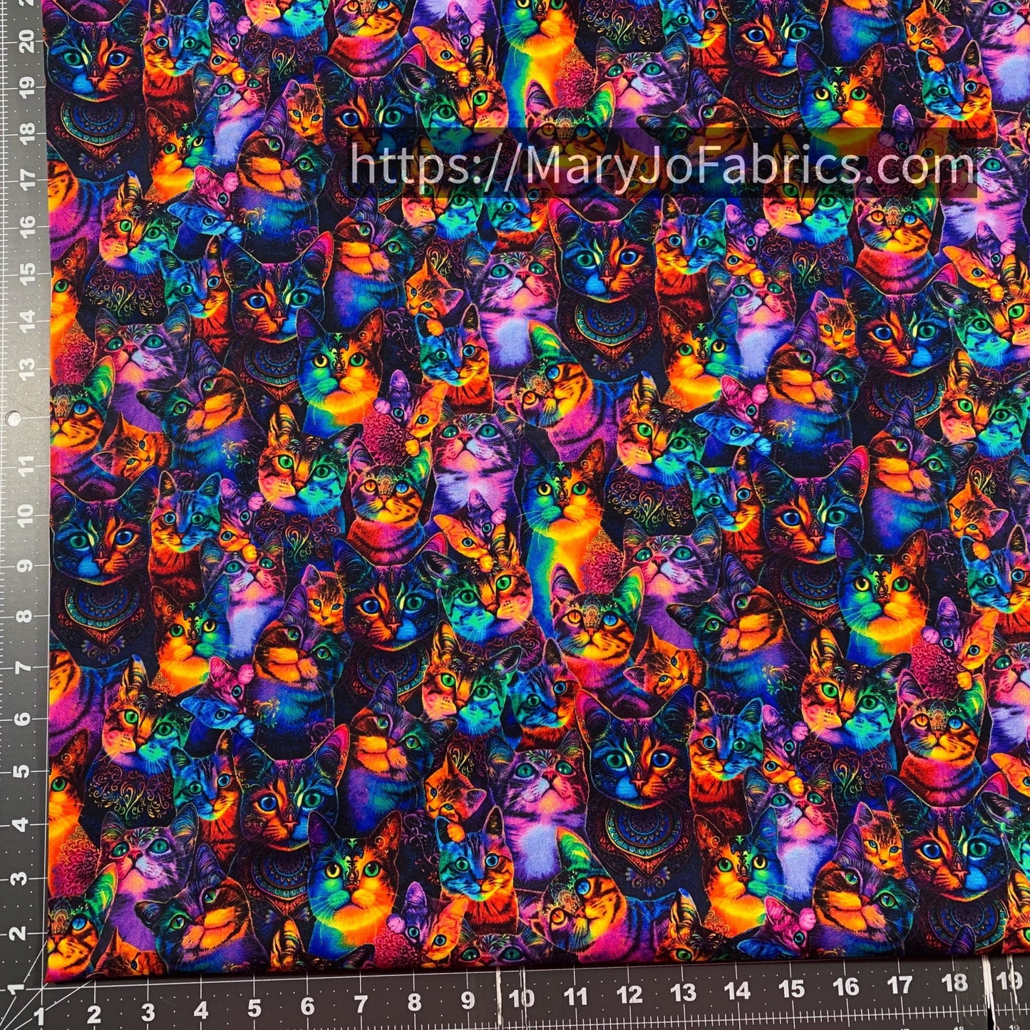 Rainbow Cat Cotton Fabric CD3031 Cute Cats - Mary Jo Fabrics