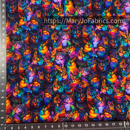 Rainbow Cat Cotton Fabric CD3031 Cute Cats - Mary Jo Fabrics