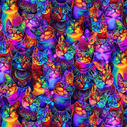 Rainbow Cat Cotton Fabric CD3031 Cute Cats - Mary Jo Fabrics