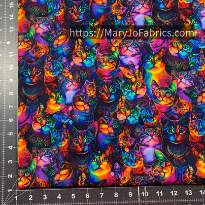 Rainbow Cat Cotton Fabric CD3031 Cute Cats - Mary Jo Fabrics
