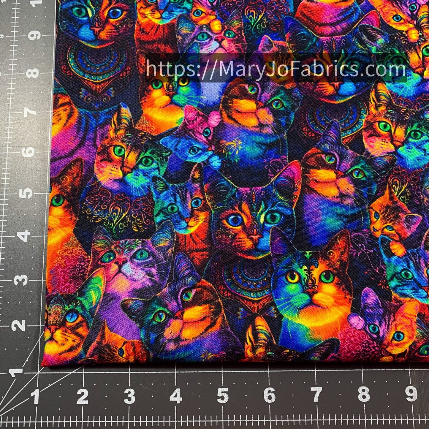 Rainbow Cat Cotton Fabric CD3031 Cute Cats - Mary Jo Fabrics