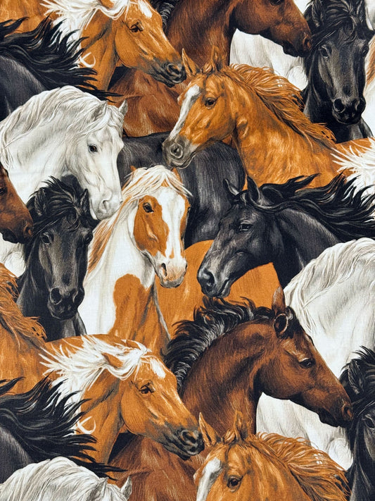 Run Free Horses fabric Paintbrush Studios horse cotton fabric - Mary Jo Fabrics