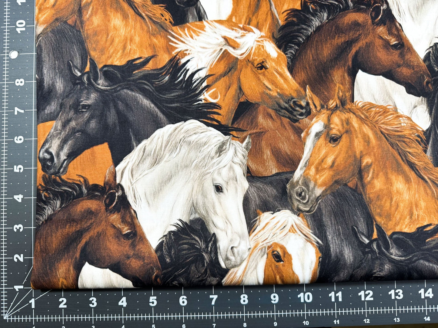 Run Free Horses fabric Paintbrush Studios horse cotton fabric - Mary Jo Fabrics