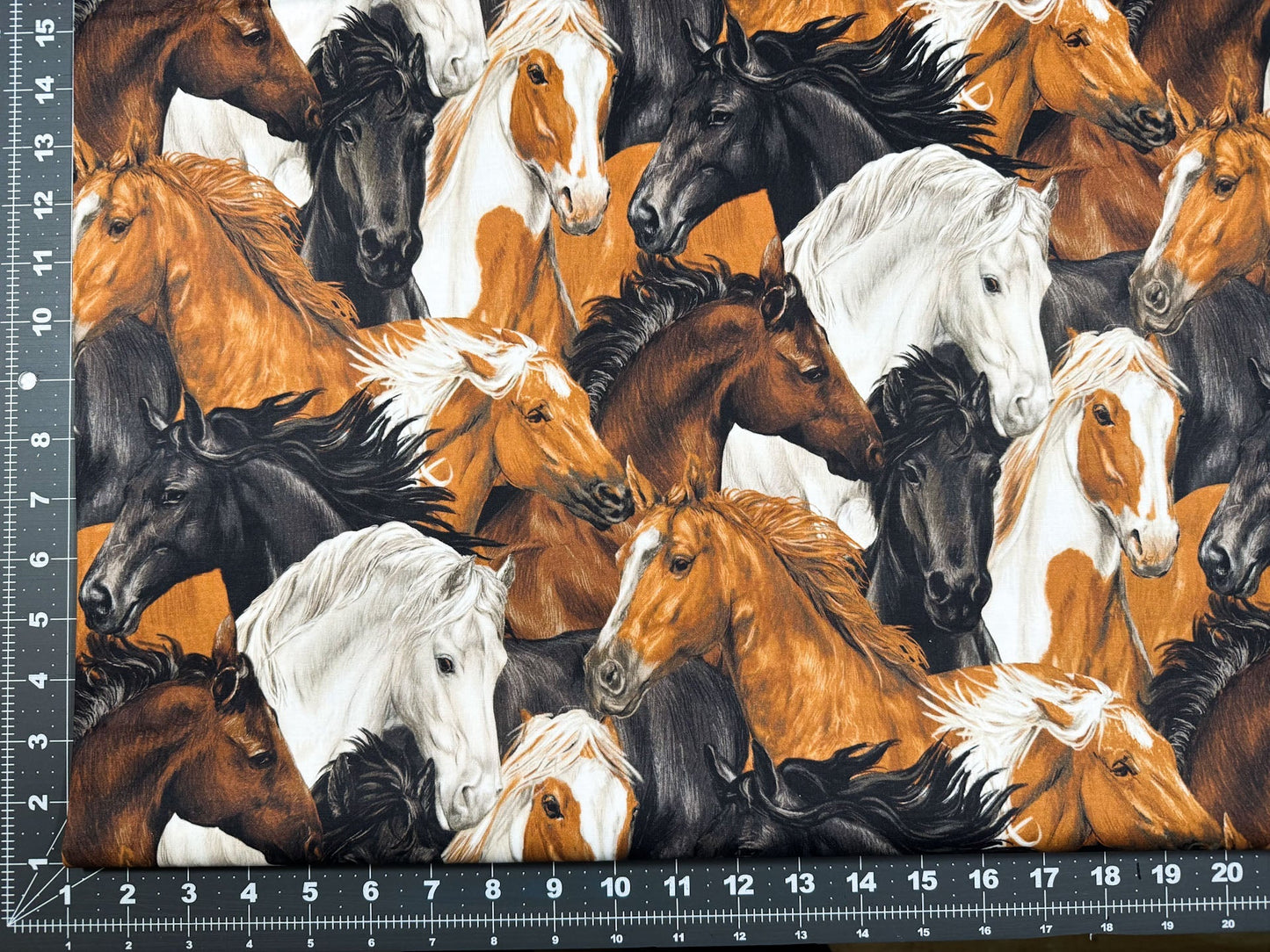 Run Free Horses fabric Paintbrush Studios horse cotton fabric - Mary Jo Fabrics