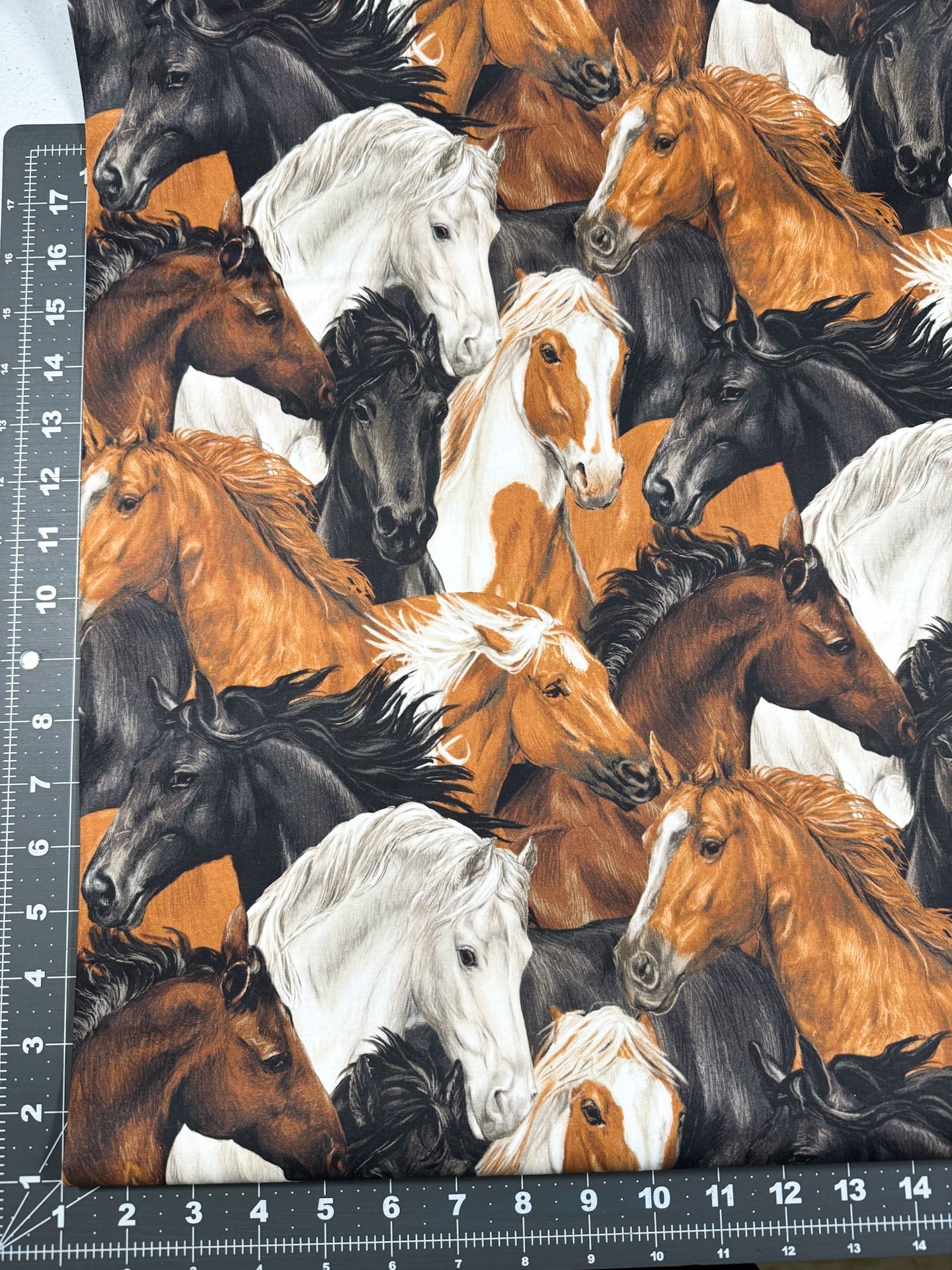 Run Free Horses fabric Paintbrush Studios horse cotton fabric - Mary Jo Fabrics