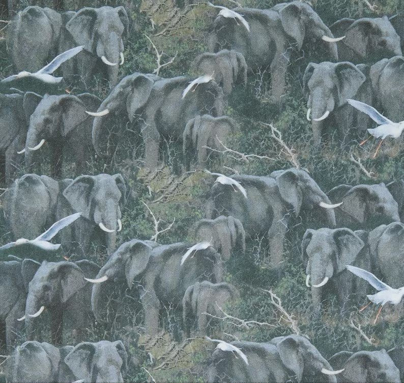 Safari Elephant Fabric 76180 Grey Elephants White Birds - Mary Jo Fabrics