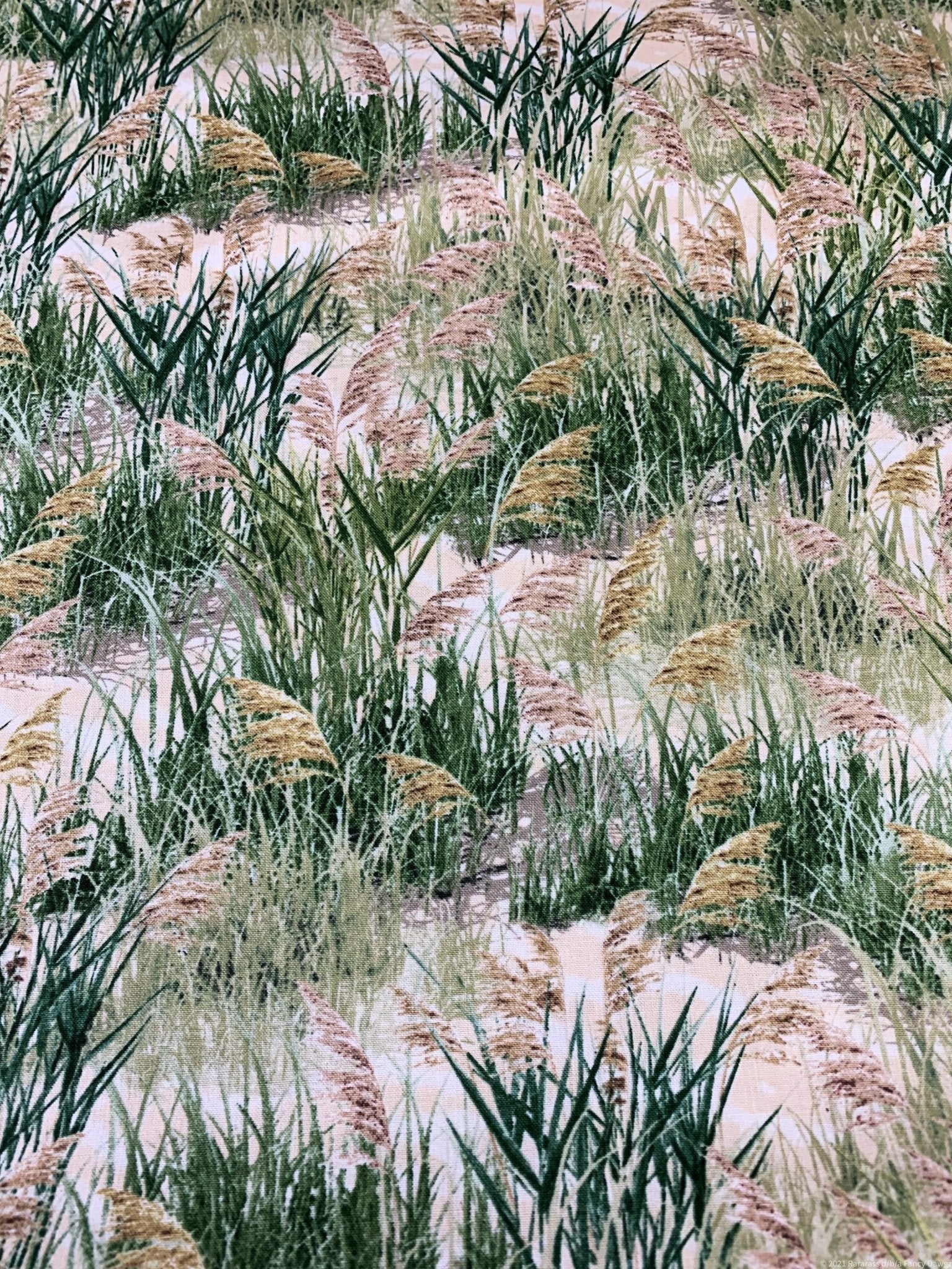 Sea grass fabric C1084 Beach cotton fabric - Mary Jo Fabrics