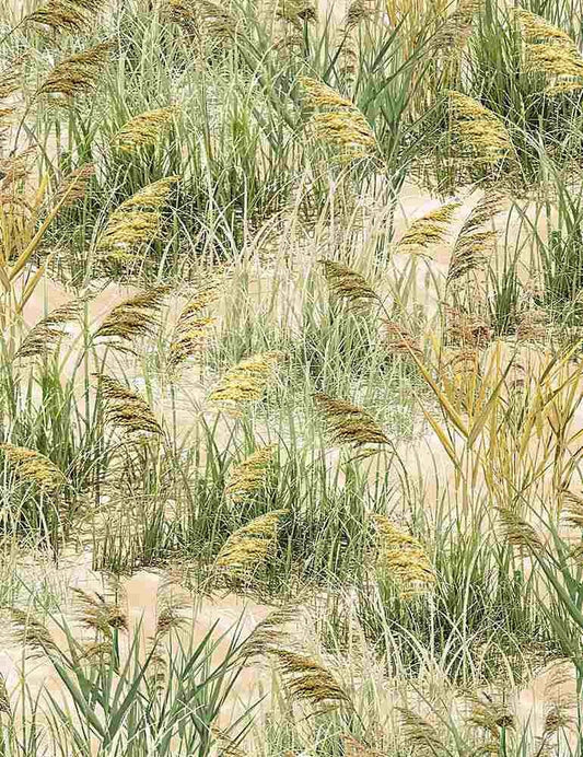 Sea grass fabric C1084 Beach cotton fabric - Mary Jo Fabrics