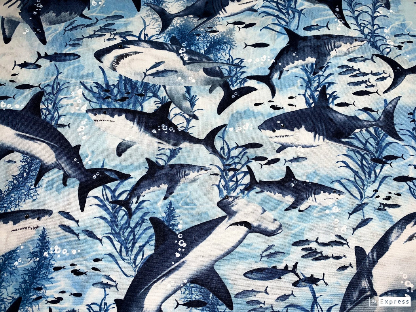 Shark fabric C7980 sharks cotton fabric - Mary Jo Fabrics