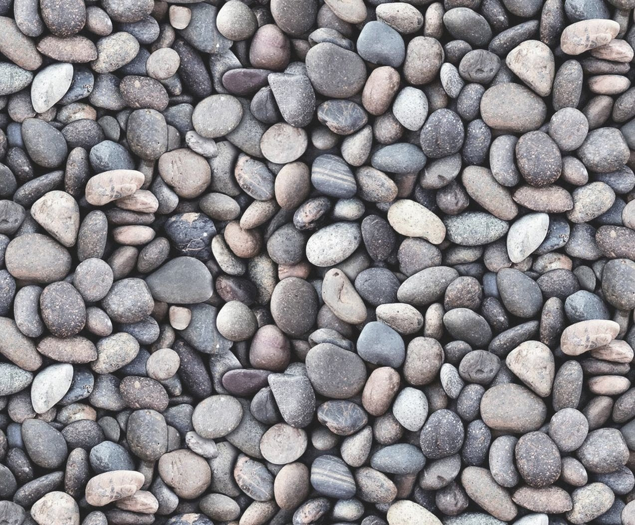Silver Pebble Fabric 684 Grey Rock Fabric Landscape Medley - Mary Jo Fabrics