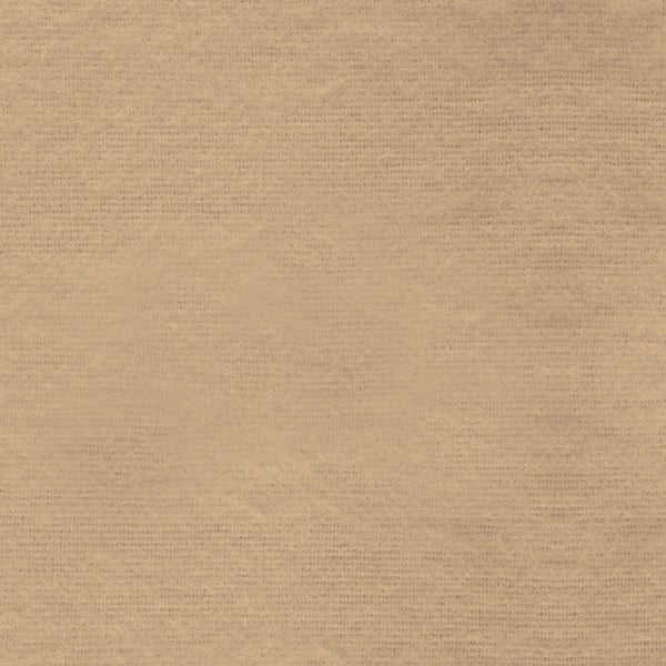Solid FLANNEL Tan 158 - 006 Solid Beige Lightweight Flannel - Mary Jo Fabrics