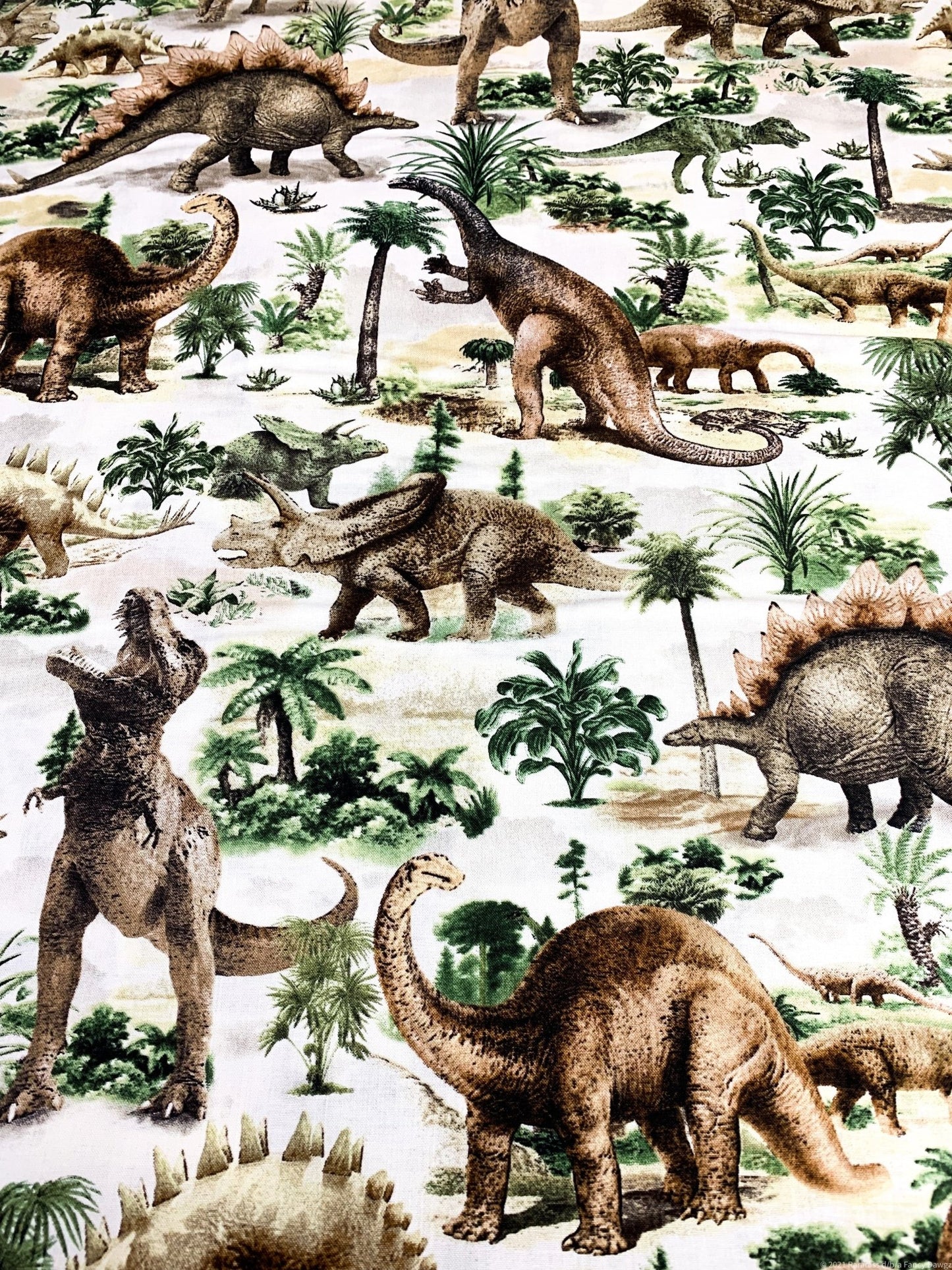 T Rex Dinosaur fabric C7816 Allover Dinosaurs - Mary Jo Fabrics