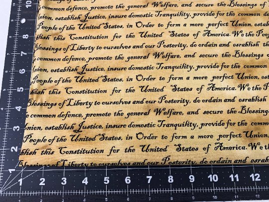 US Constitution patriotic fabric 10922 Defender of Freedom - Mary Jo Fabrics