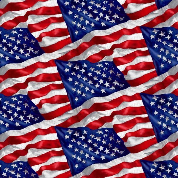 USA Flag fabric 1540 - 78 Wings of Freedom Patriotic fabric - Mary Jo Fabrics