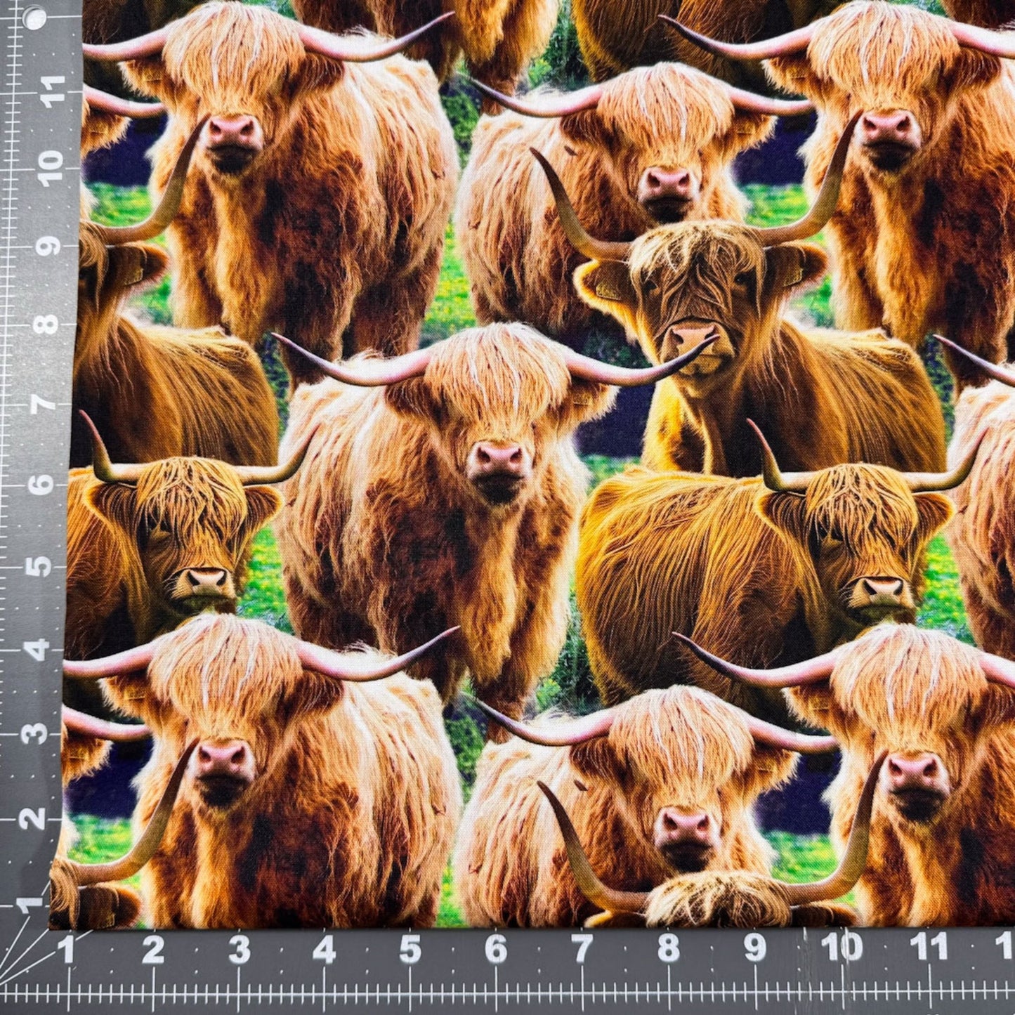 Whimsical Highland Cow Cotton Fabric DX6664 Cute cows - Mary Jo Fabrics