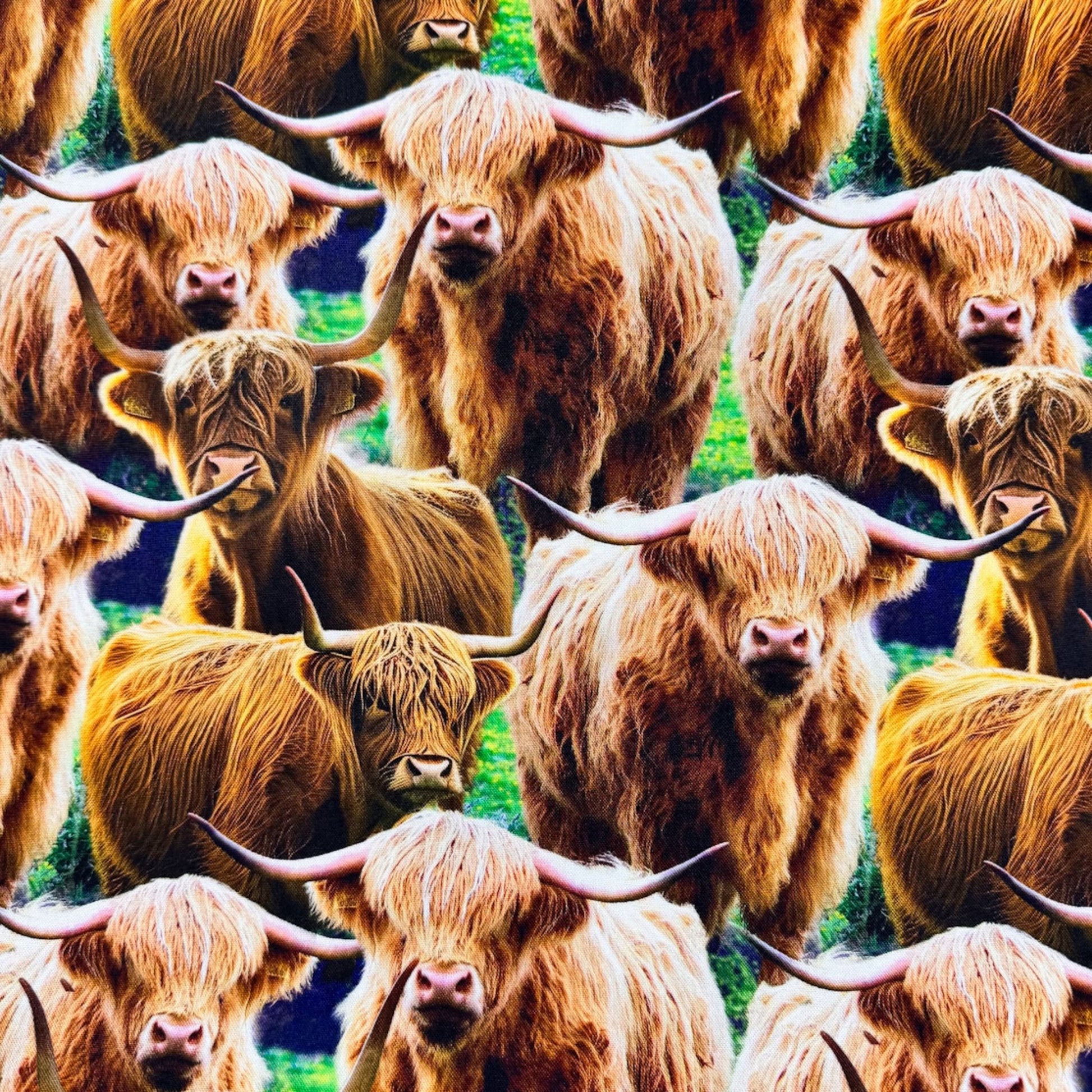Whimsical Highland Cow Cotton Fabric DX6664 Cute cows - Mary Jo Fabrics