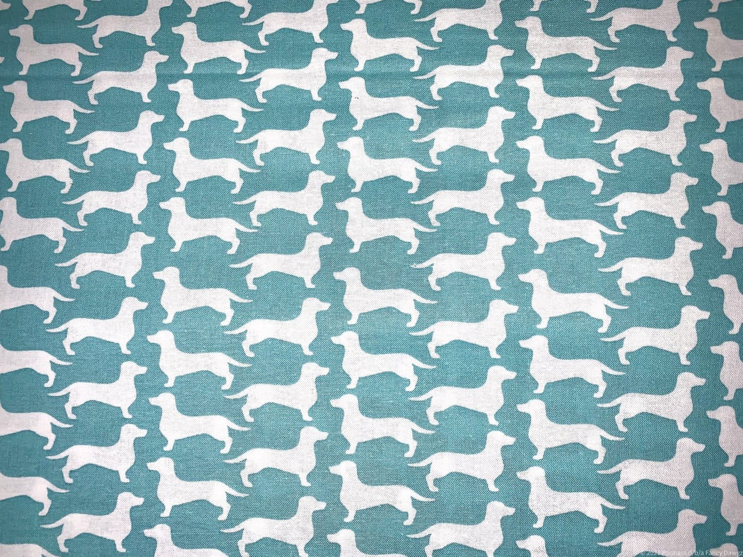 White Dachshund dog cotton fabric Stylish dachshund fabric - Mary Jo Fabrics