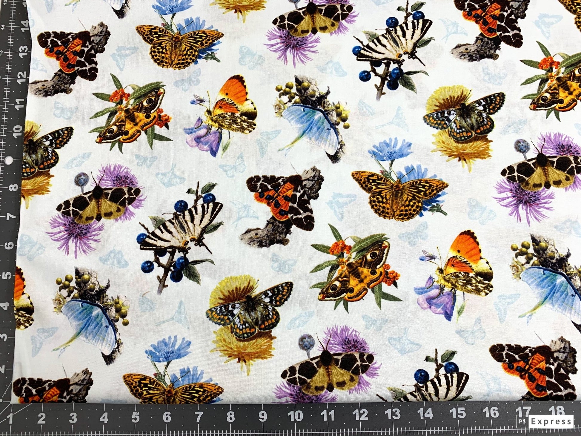 White Moths and Butterflies fabric 9801 butterfly cotton fabric - Mary Jo Fabrics