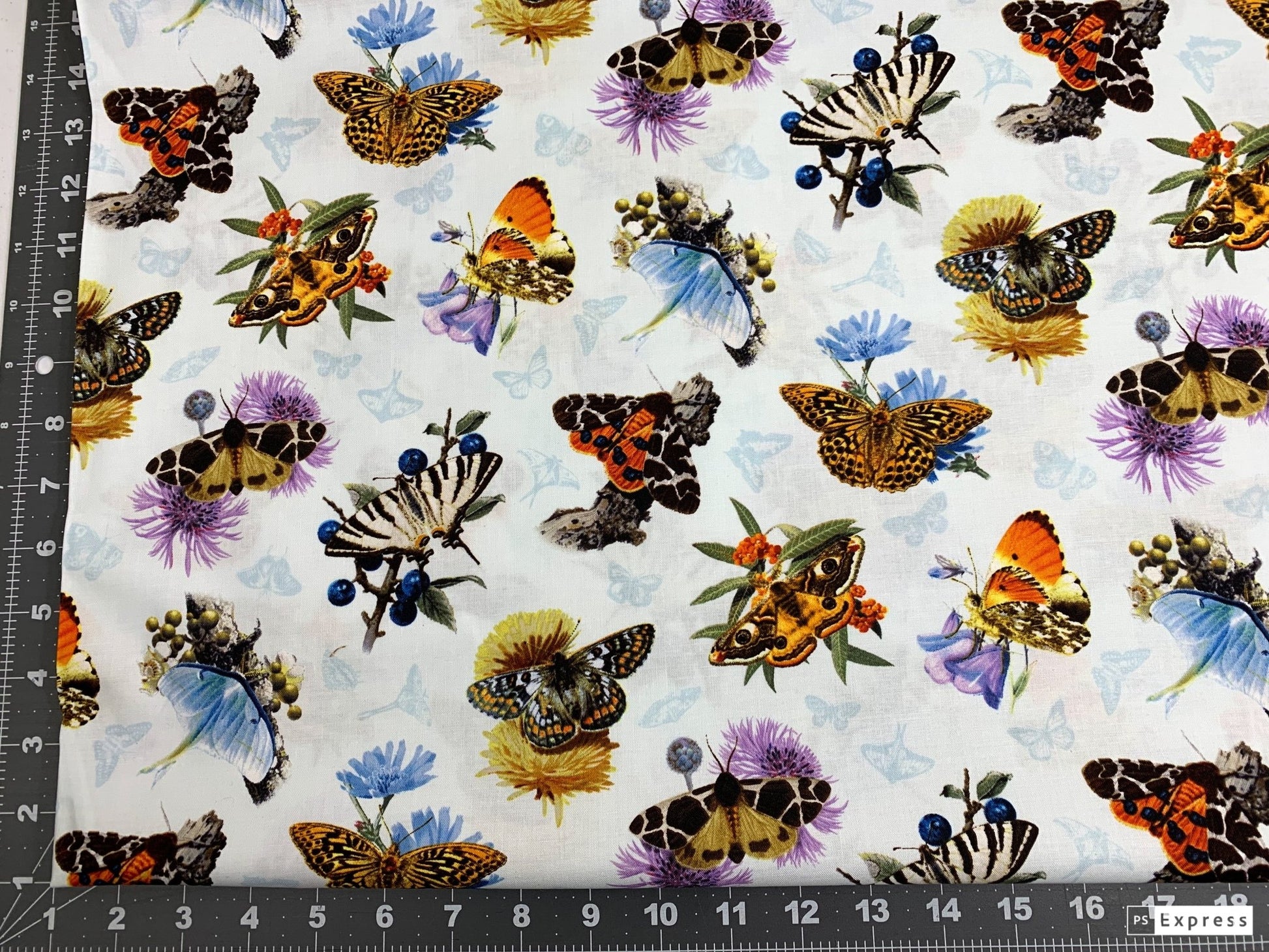 White Moths and Butterflies fabric 9801 butterfly cotton fabric - Mary Jo Fabrics