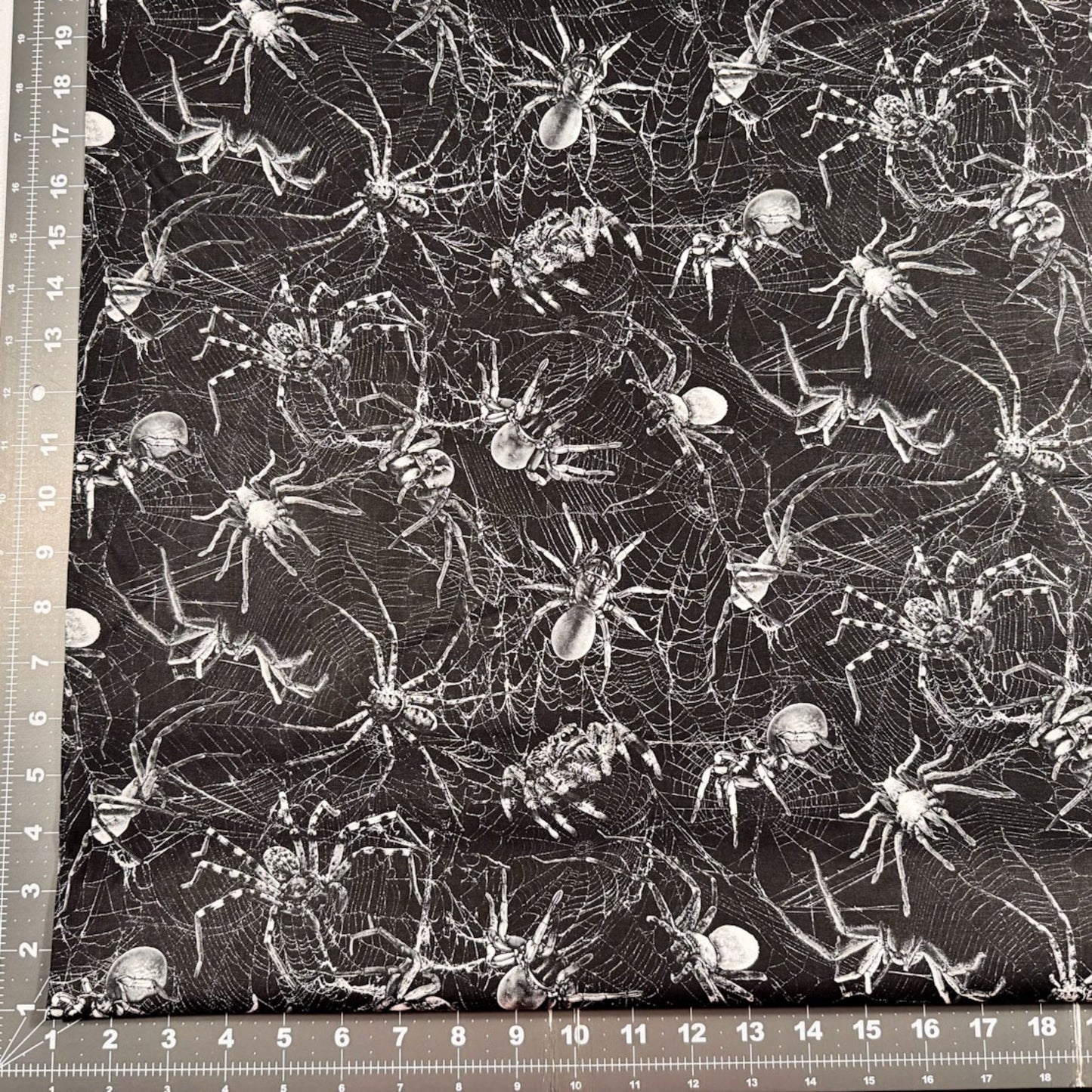 Wicked Spider Fabric CD2765 Spiders on Webs - Mary Jo Fabrics