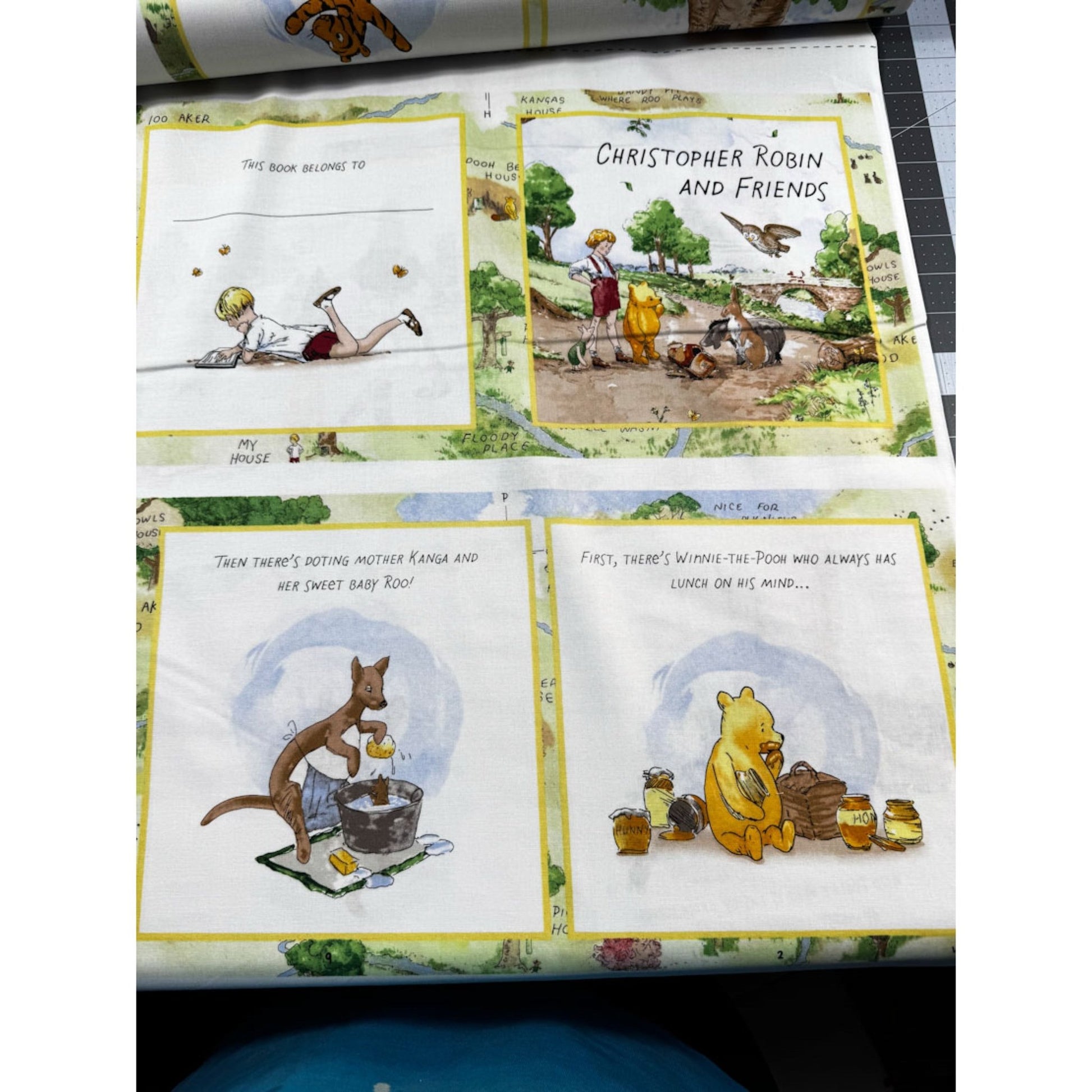 Winnie the Pooh Fabric Book Panel 8729BP Pooh book - Mary Jo Fabrics