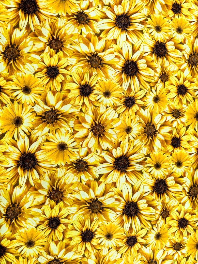 Yellow Honey sunflower fabric CD1362 floral cotton fabric - Mary Jo Fabrics