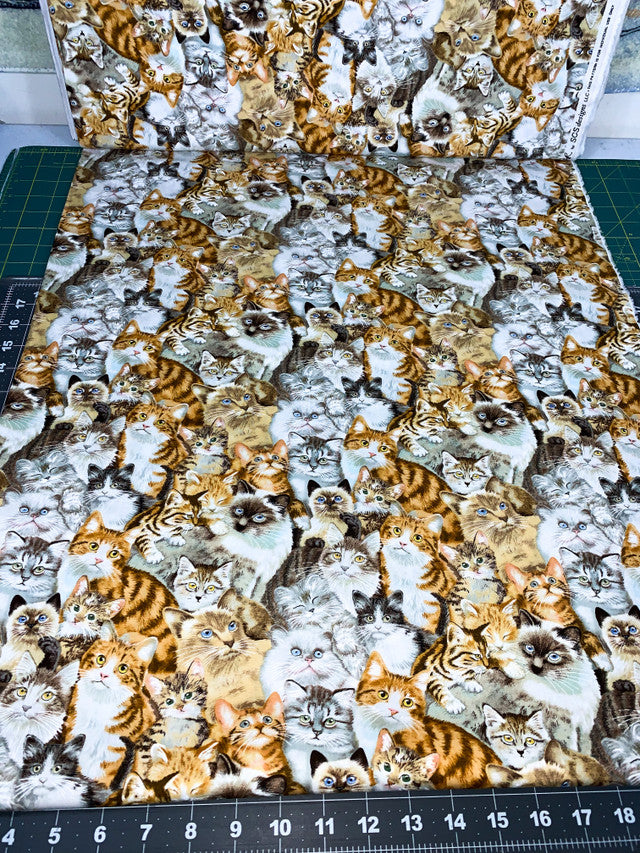Petpourri Cat fabric 1253 packed cats cotton fabric