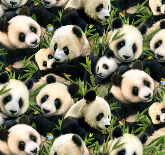 Panda bear fabric 1329 Black Panda fabric