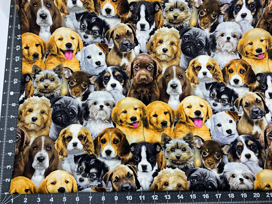 Adorable Pet Dog fabric Elizabeth Studio