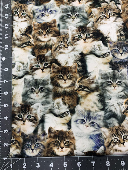 Grey kitten fabric  50060D cute cat cotton fabric