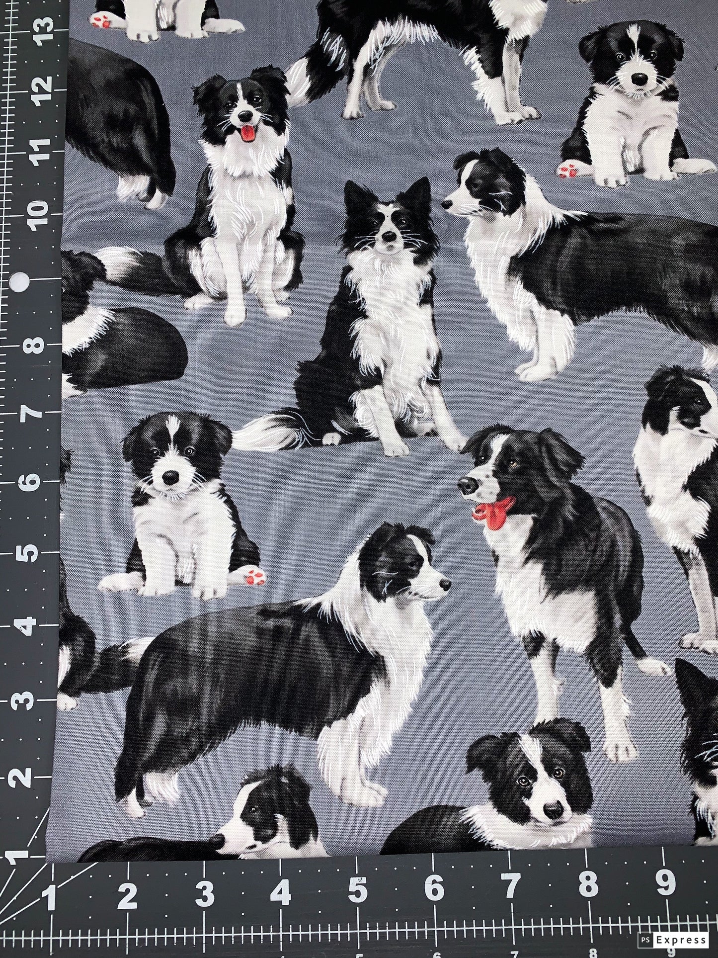 Border Collie dog fabric C7365 Bluish Gray dog cotton fabric