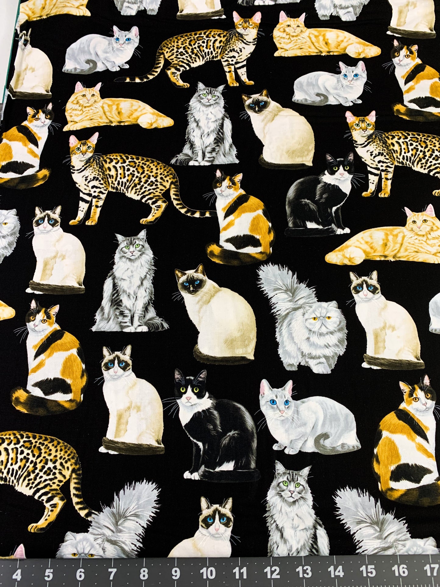 Black fancy cat fabric C8050 cats quilting fabric