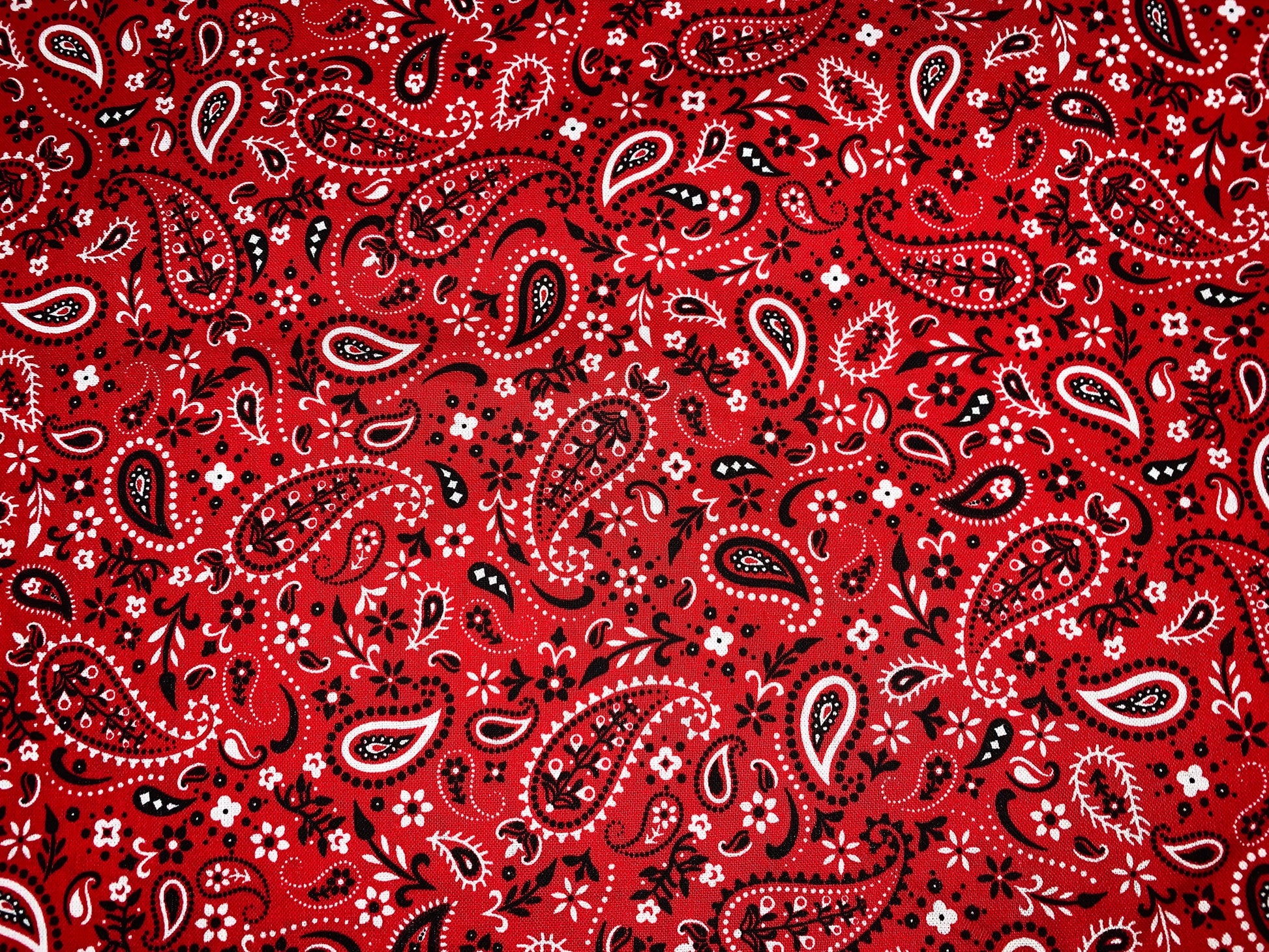Red paisley fabric by the yard