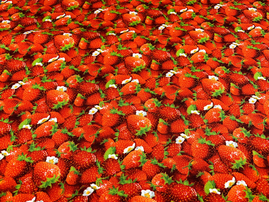 Red Strawberry fabric  155 Strawberries cotton fabric