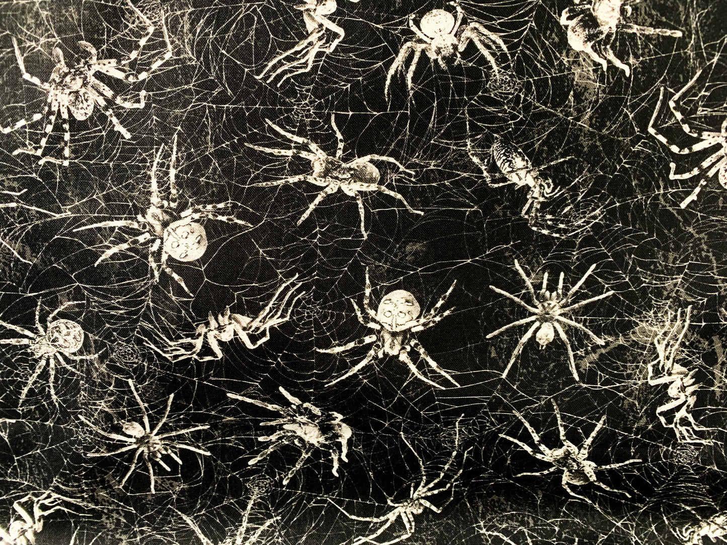 Black Creepy Spiders fabric CD1833 Wicked Spiderwebs