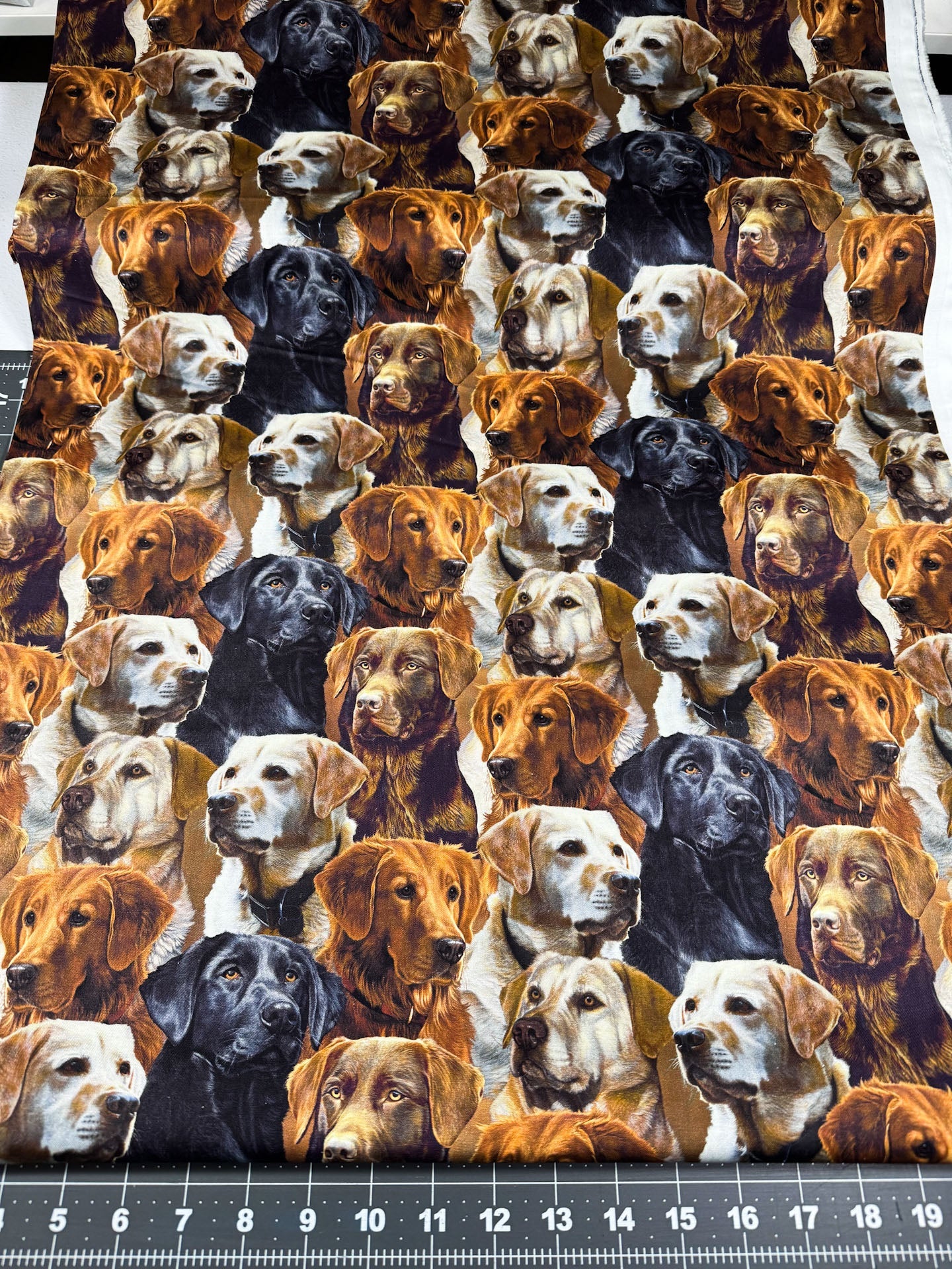 Labrador dog fabric all over Labrador Retrievers